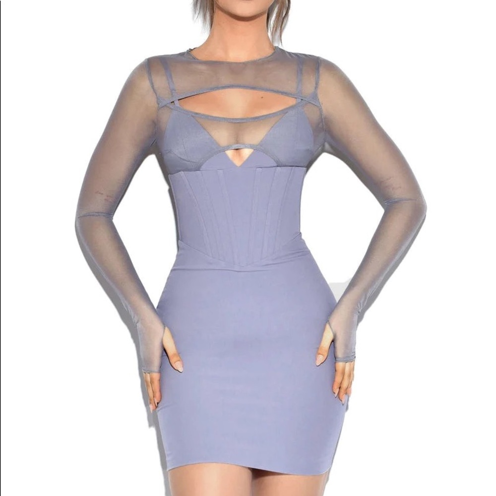 WINSTON GREY PINK MESH LONG SLEEVE CORSET CREPE DRESS